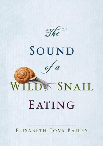 The Sound Of A Wild Snail Eating