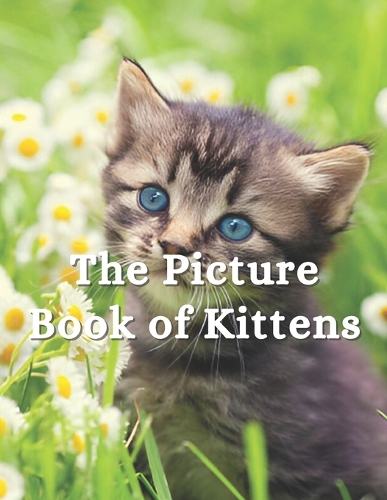 The Picture Book of Kittens