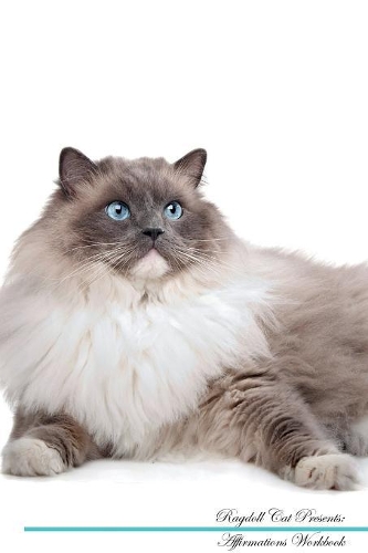 Ragdoll Cat Affirmations Workbook Ragdoll Cat Presents