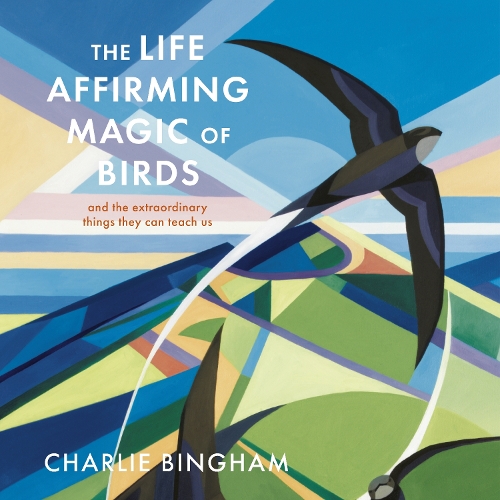 The Life-Affirming Magic of Birds