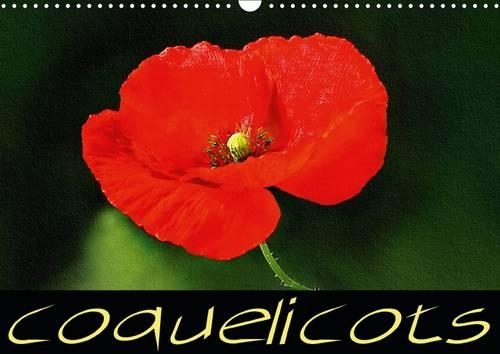 Coquelicots 2016