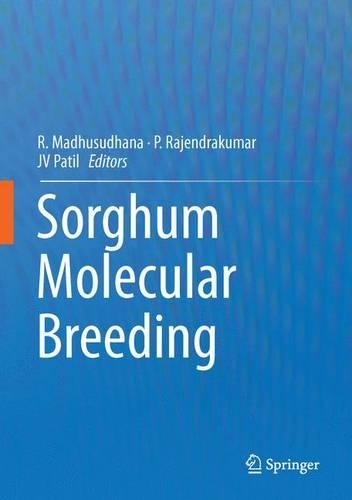 Sorghum Molecular Breeding