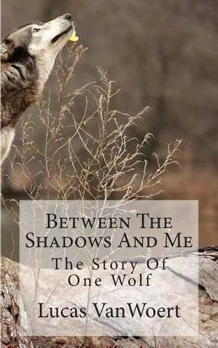 Between The Shadows And Me
