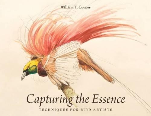 Capturing the Essence: Techniques for Bird Artists