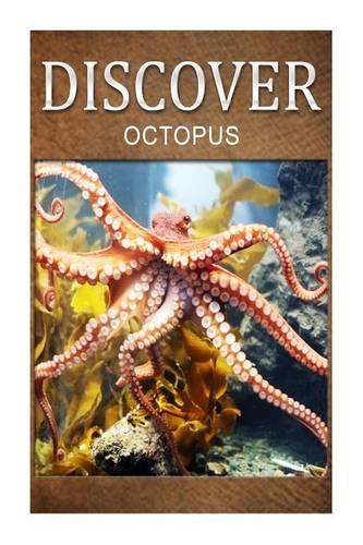 Octopus - Discover: Early reader's wildlife photography book