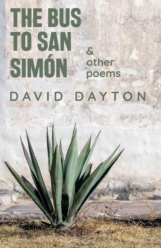 The Bus to San Simón