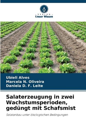 Salaterzeugung in zwei Wachstumsperioden, gedüngt mit Schafsmist