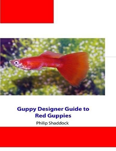 Guppy Designer Guide to Red Guppies