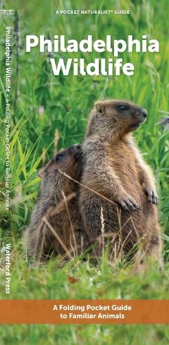 Philadelphia Wildlife: A Folding Pocket Guide to Familiar Animals(Nature Observation North America)