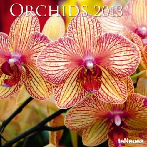 2013 Orchids Grid Calendar
