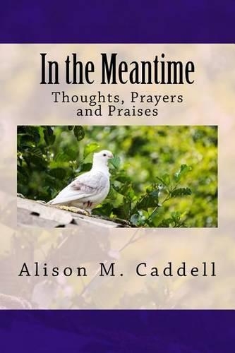 In the Meantime: Thoughts, Prayers & Praises