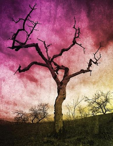 Watercolor Tree Notebook: 8.5 X 11 202 College Ruled Pages