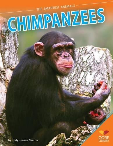 Chimpanzees