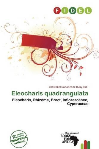 Eleocharis Quadrangulata