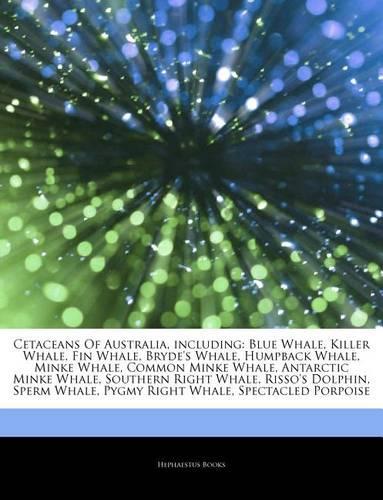 Articles on Cetaceans of Australia, Including: Blue Whale, Killer Whale, Fin Whale, Bryde's Whale, Humpback Whale, Minke Whale, Common Minke Whale, Antarctic Minke Whale, Southern Right Whale, Ri