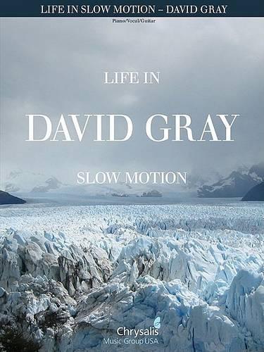 David Gray - Life in Slow Motion