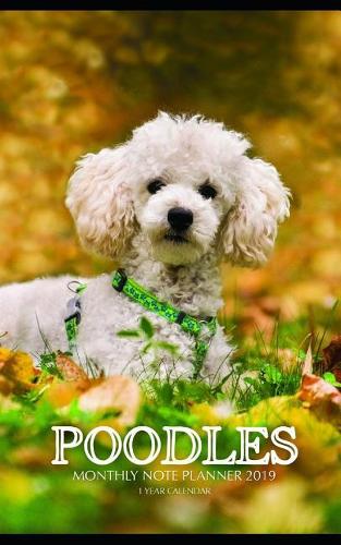 Poodles Monthly Note Planner 2019 1 Year Calendar