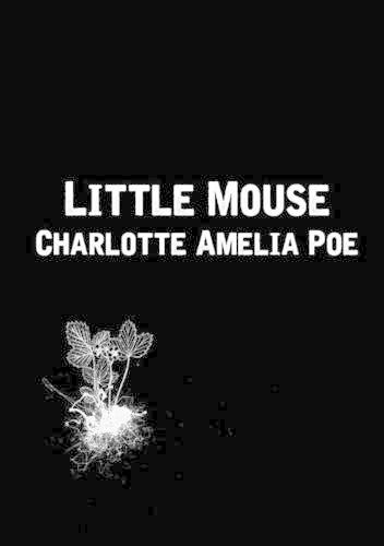 Little Mouse