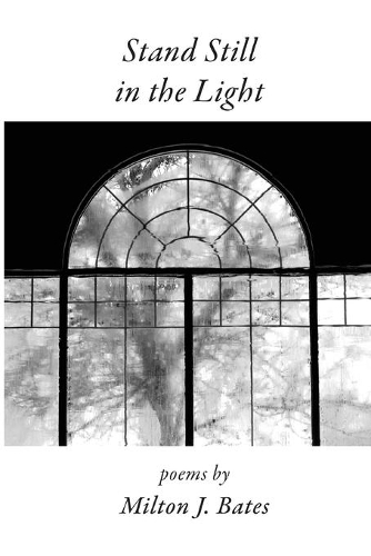 Stand Still in the Light