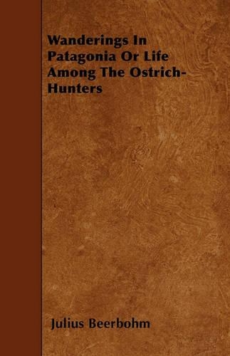 Wanderings In Patagonia Or Life Among The Ostrich-Hunters