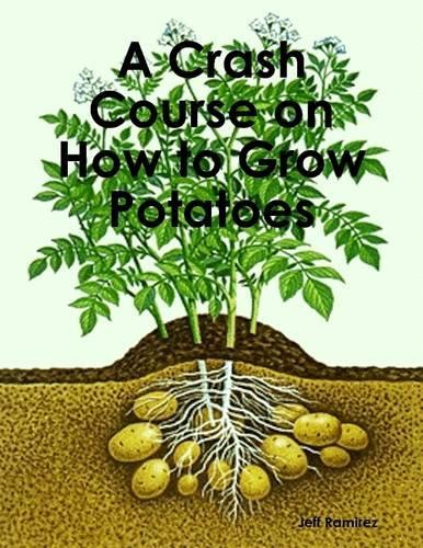 A Crash Course on How to Grow Potatoes