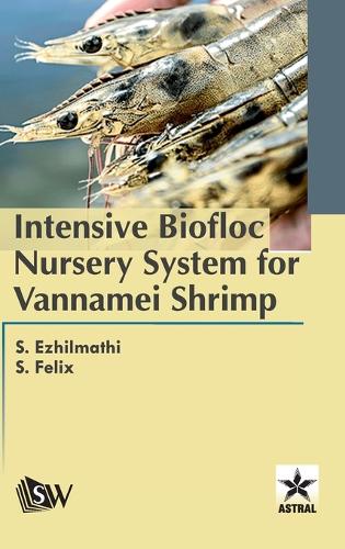 Intensive Biofloc Nursery System for Vannamei Shrimp