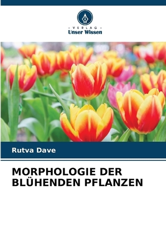 Morphologie Der Blühenden Pflanzen