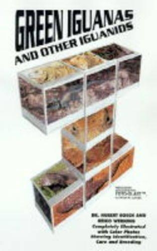 Green Iguanas and Other Iguanids