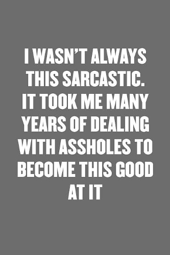 I Wasn't Always This Sarcastic. It Took Me Many Years of Dealing with Assholes to Become This Good at It