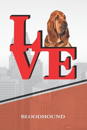 Bloodhound: Dog Love Park Blank Comic Book Journal Notebook Book Is 120 Pages 6x9