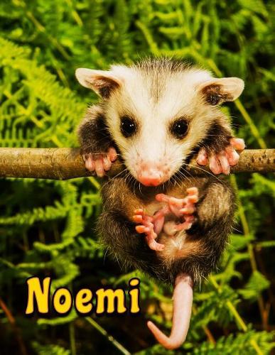 Noemi: Personalized Book with Name, Notebook, Journal, Diary, 105 Lined Pages, 8 1/2" x 11"