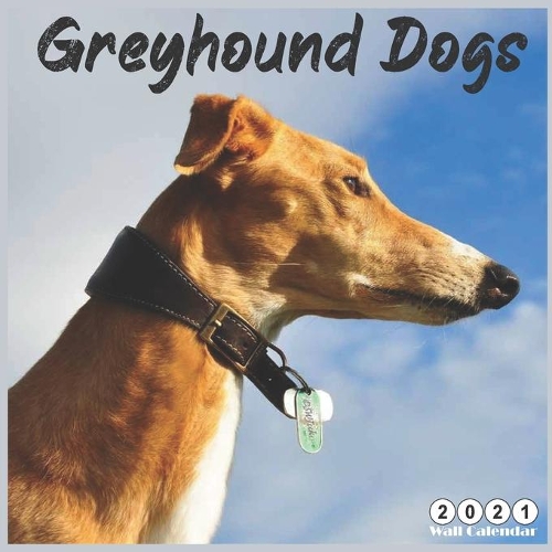 Greyhound Dogs 2021 Wall Calendar: Official Dog Breed Calendar 2021, 18 Months