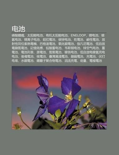 Dian Chi: Lin Su N L Ti, Tai Yang Neng Dian Chi, y U J Tai Yang Neng Dian Chi, Eneloop, L Dian Chi, Nie Q Ng Dian Chi, L Li Zi Dian Chi