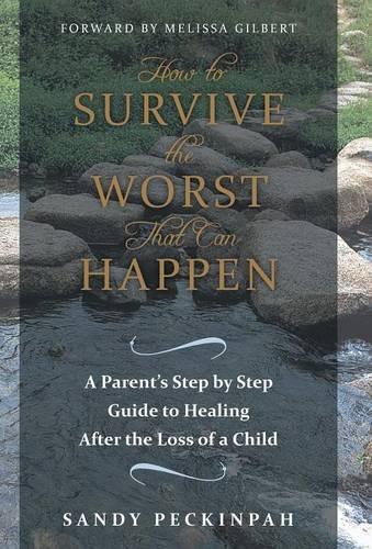 How to Survive the Worst That Can Happen: A Parent's Step by Step Guide to Healing After the Loss of a Child