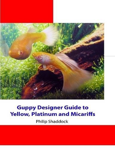 Guppy Designer Guide to Yellow, Platinum and Micariff Guppies