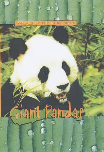Giant Pandas: (Animals of the Rainforest S.)