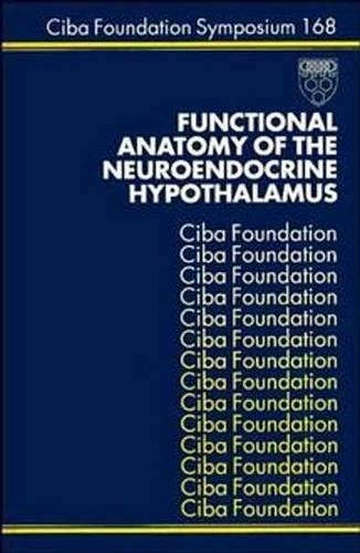 Functional Anatomy of the Neuroendocrine Hypothalamus: (168 Novartis Foundation Symposia)