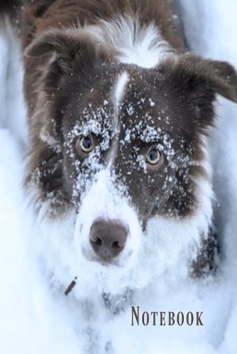 Notebook: Cute brown and white border collie dog in the snow lined paperback jotter
