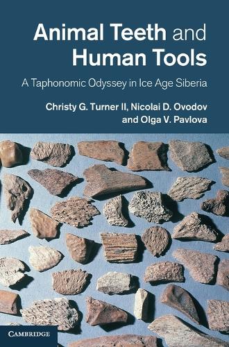 Animal Teeth and Human Tools
