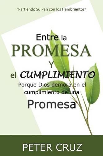 Entre la promesa y el cumplimiento