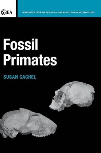 Fossil Primates: (Series Number 70 Cambridge Studies in Biological and Evolutionary Anthropology)