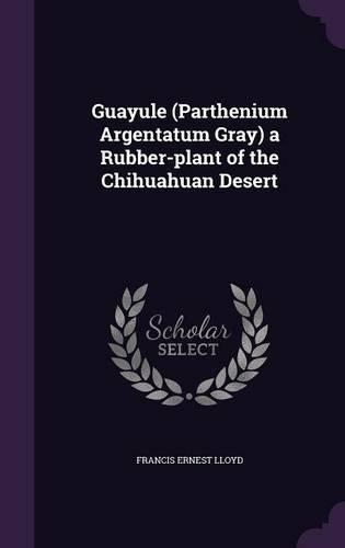 Guayule (Parthenium Argentatum Gray) a Rubber-Plant of the Chihuahuan Desert