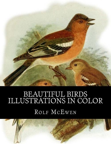 Beautiful Birds - Illustrations in Color