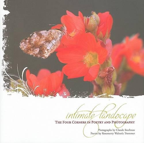 Intimate Landscape