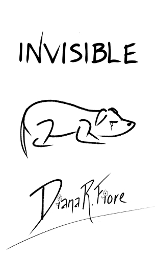 Invisible