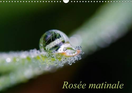 Rosée matinale 2016: Photographie matinale(Calvendo Nature)