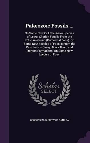 Palæozoic Fossils ...: On Some New Or Little-Know Species of Lower Silurian Fossils From the Potsdam Group (Primordial Zone). On Some New Species of Fossils From the Calic