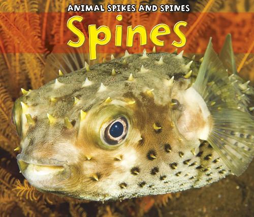 Spines: (Animal Spikes and Spines)