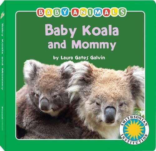 Baby Koala and Mommy