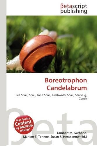 Boreotrophon Candelabrum